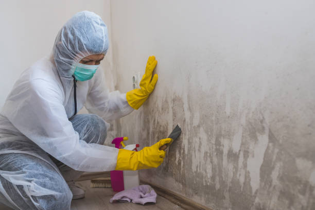 Mold Documentation for Insurance Claims in Tyler Run, PA